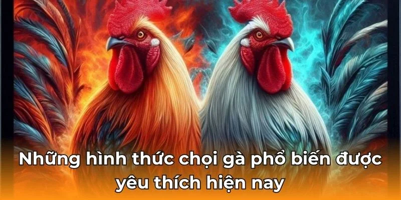 Những hình thức chọi gà phổ biến được yêu thích hiện nay